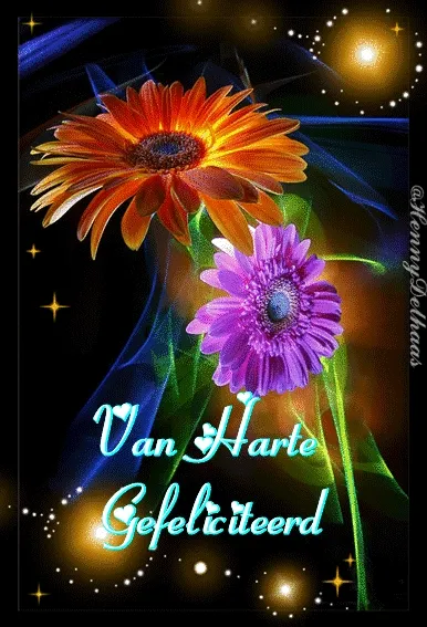 Kleurige bloemen met de tekst "Van Harte Gefeliciteerd" op een sterrenachtergrond.