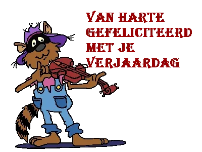 Een cartoon-van een raccoon die viool speelt met verjaardagwensen.