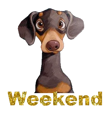 Een schattige teckel met de tekst "Weekend" in gouden letters.