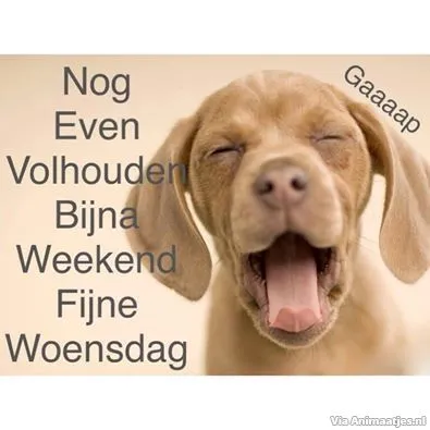 Een slapende puppy met tekst over het aankomende weekend en een fijne woensdag.