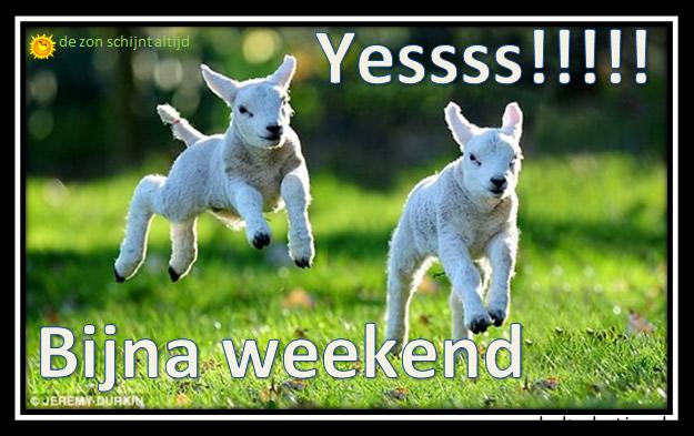 ᐅ bijna weekend plaatjes - bijna weekend plaatjes plaatjes