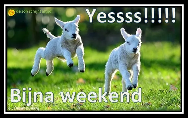 ᐅ bijna weekend plaatjes - Vrijdag plaatjes