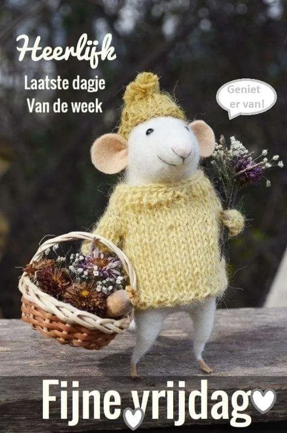 ᐅ bijna weekend plaatjes - Vrijdag plaatjes