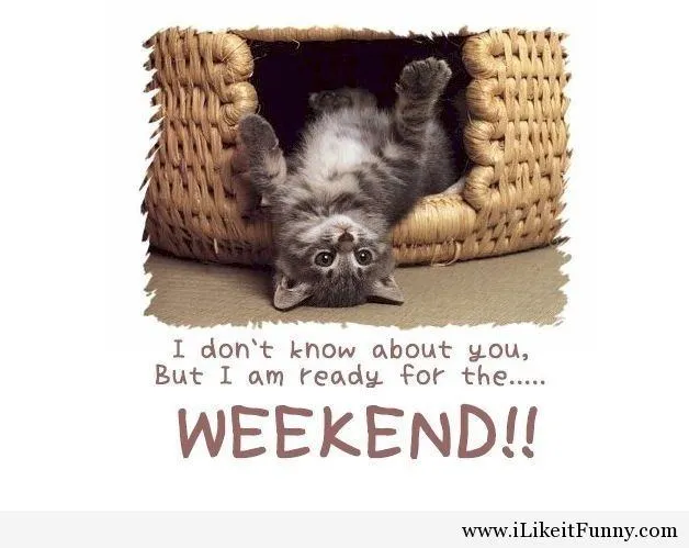 ᐅ bijna weekend plaatjes - Vrijdag plaatjes