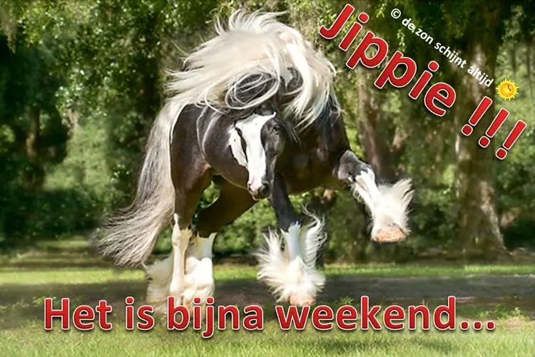 ᐅ bijna weekend plaatjes - Vrijdag plaatjes