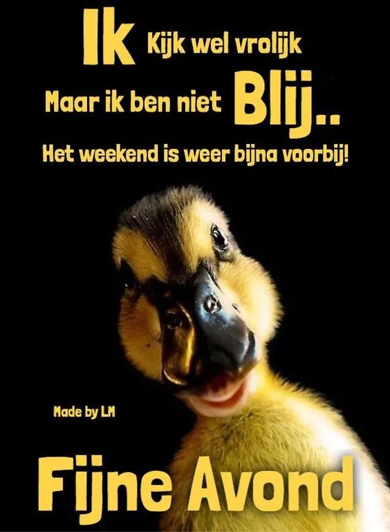 ᐅ bijna weekend plaatjes - Vrijdag plaatjes