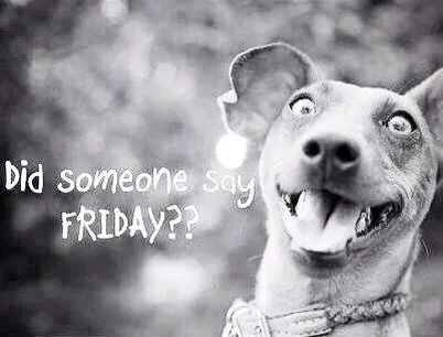 ᐅ bijna weekend plaatjes - Vrijdag plaatjes