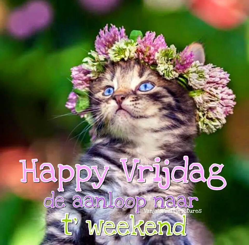 ᐅ bijna weekend plaatjes - Vrijdag plaatjes