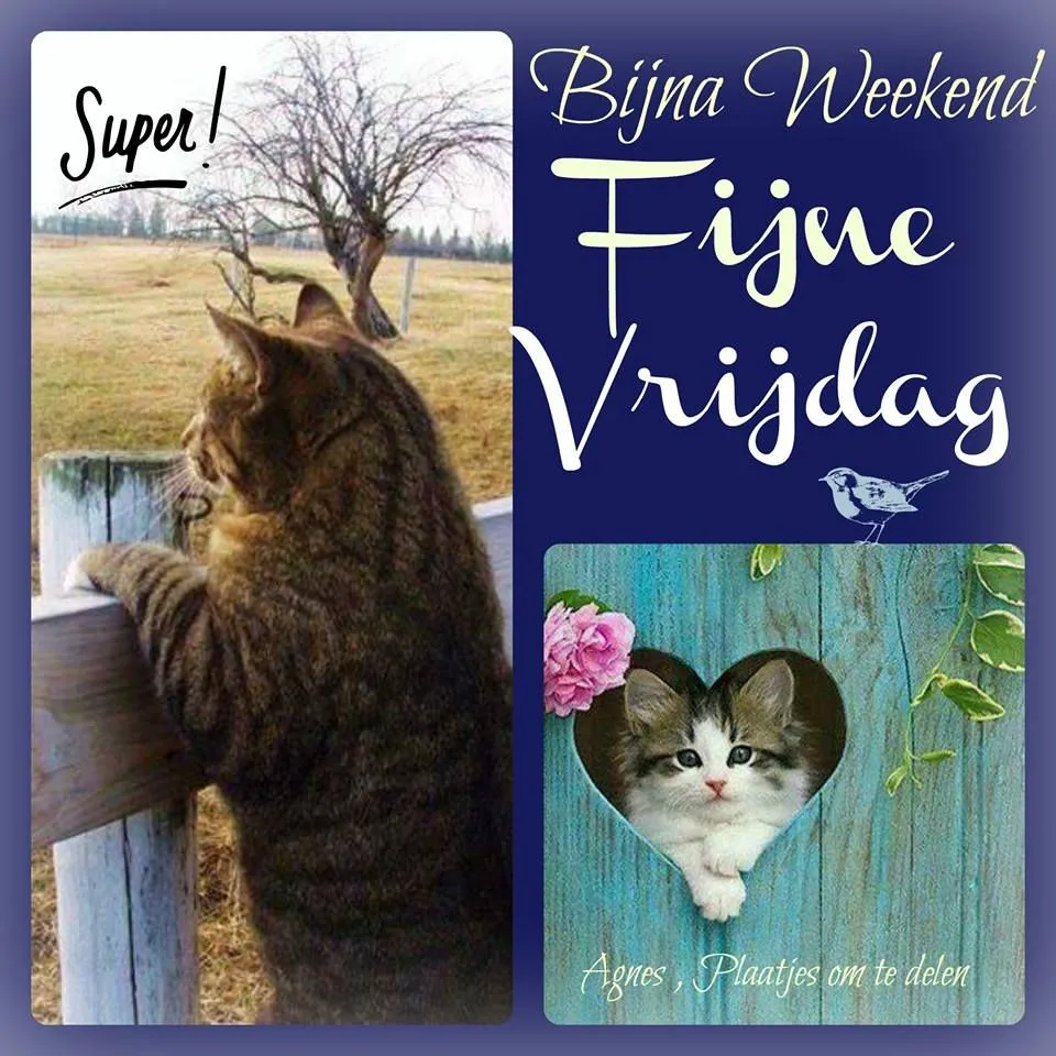 ᐅ bijna weekend plaatjes - Vrijdag plaatjes