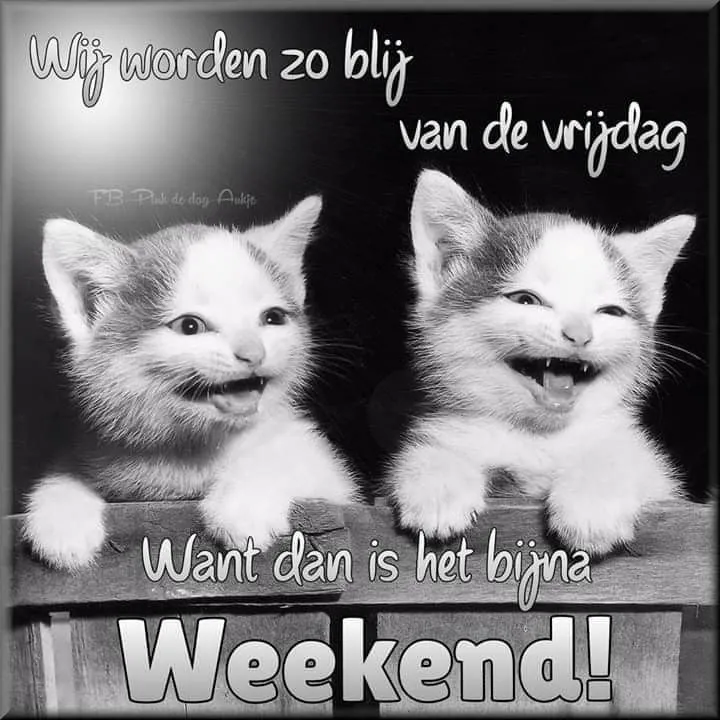 ᐅ bijna weekend plaatjes - Vrijdag plaatjes