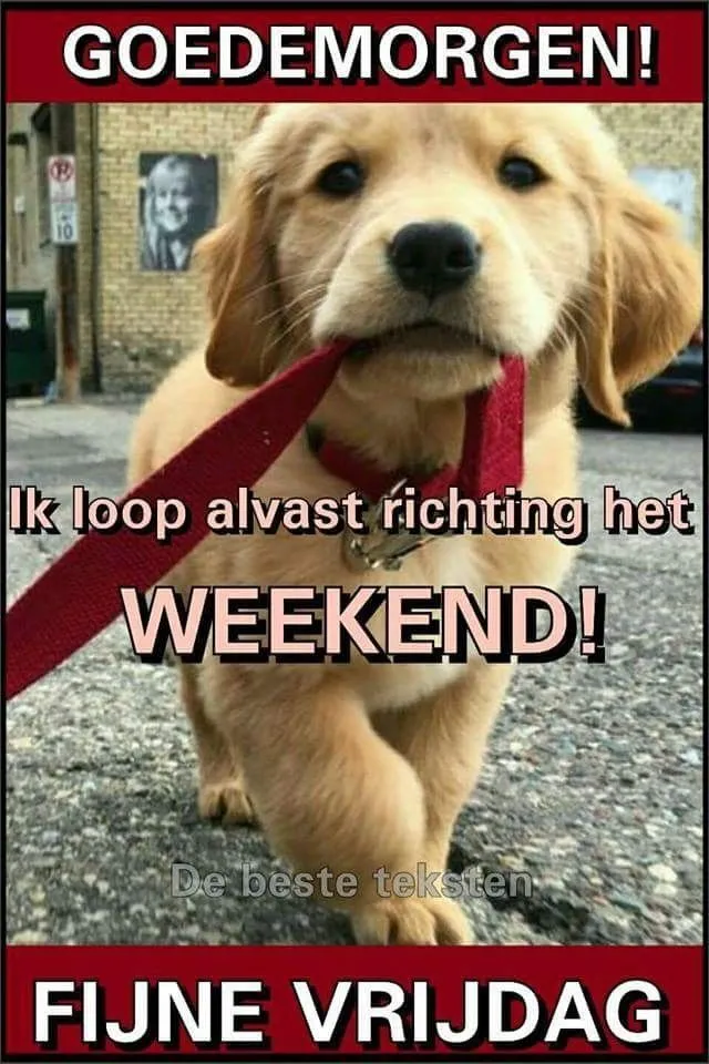 ᐅ bijna weekend plaatjes - Vrijdag plaatjes