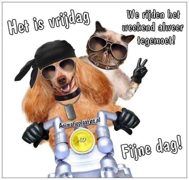 ᐅ bijna weekend plaatjes - Vrijdag plaatjes
