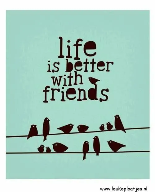 Tekst op een lichte achtergrond met vogels op een draad: "Het leven is beter met vrienden."