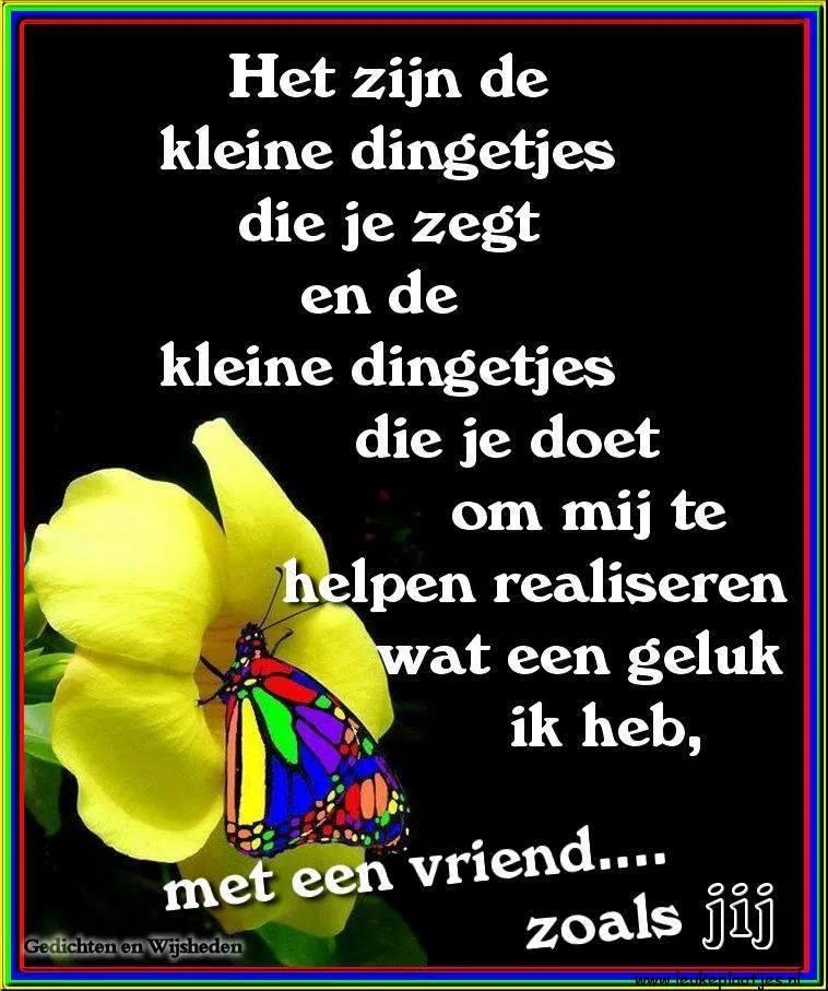 Een gele bloem met een vlinder en tekst over vriendschap en geluk.