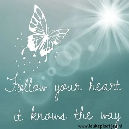 Een mooie achtergrond met een vlinder en de tekst "Follow your heart, it knows the way."