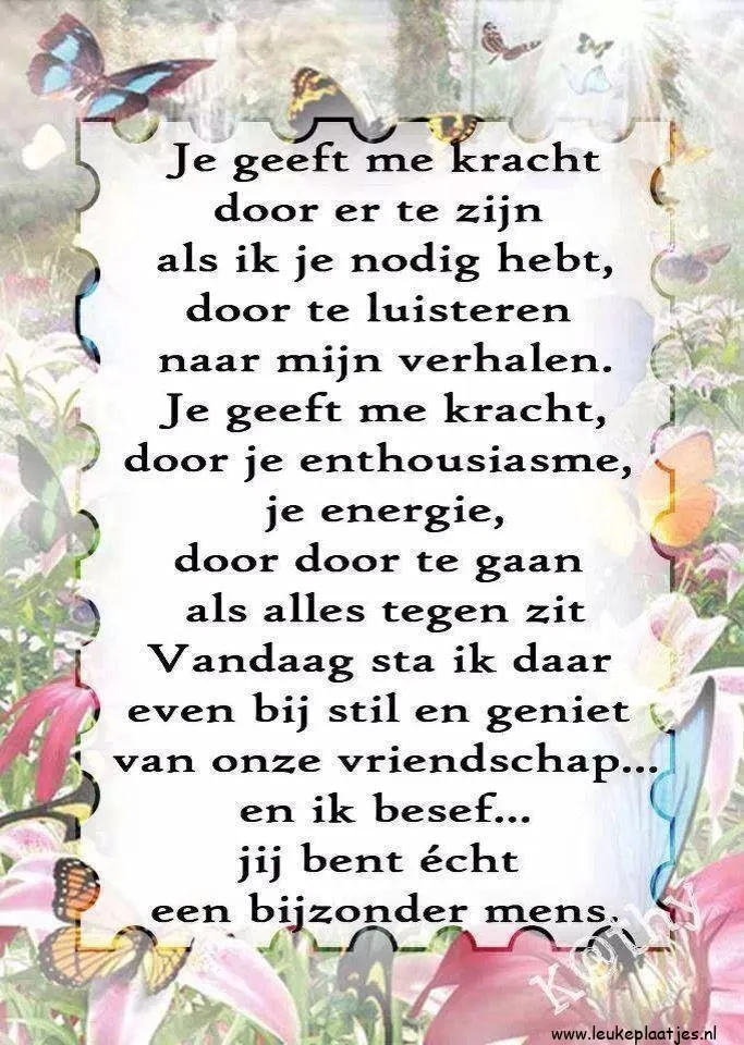 Een tekst over de kracht van vriendschap en steun met kleurrijke vlinders eromheen.