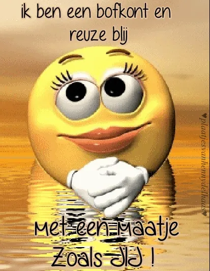 Een knipoogende emoticon met de tekst over vriendschap en blijdschap.