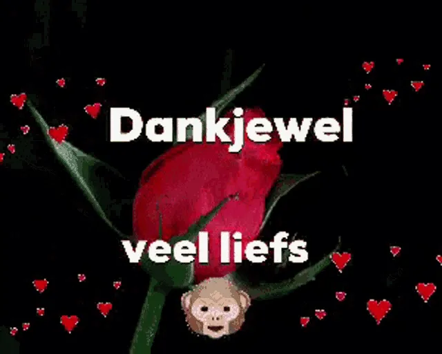 Rode roos met tekst "Dankjewel, veel liefs" op een zwarte achtergrond.