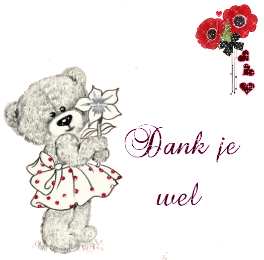 Een schattige teddybeer met een bloem en de tekst "Dank je wel" op een rode achtergrond.