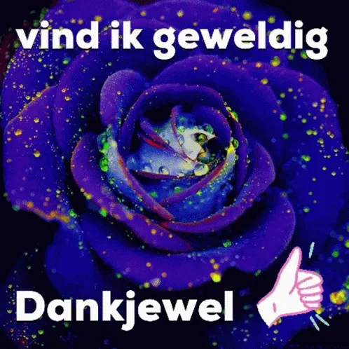 Lila roos met glinsterende druppels en tekst: "vind ik geweldig, Dankjewel".