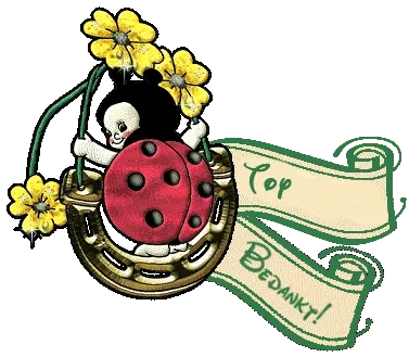 Een lieve kever met bloemen, met de tekst "Top Bedankt!" in een hoefschaal.