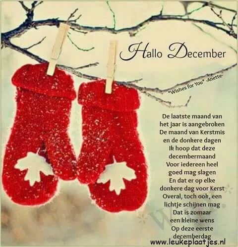 ᐅ december plaatjes - December plaatjes Rode wanten hangen, karikatuur, arka planda kış manzarası. "Hallo December" yazısı.
