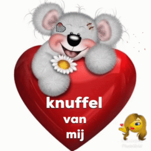 dikke knuffel gif
