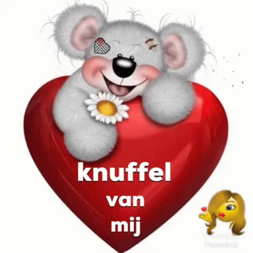 Een schattige teddybeer met een hart en tekst "knuffel van mij".