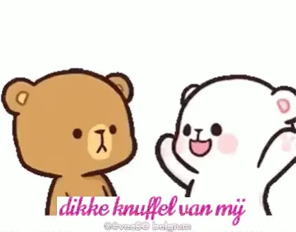 Twee schattige beren, eentje knuffelt de andere vrolijk.