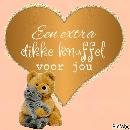 Een hart met de tekst: "Een extra dikke knuffel voor jou" en een kat met een teddybeer.