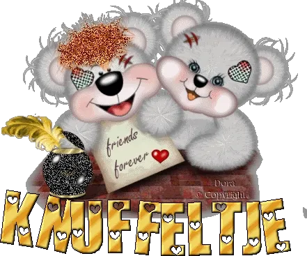 Twee schattige teddyberen met een briefje "vrienden voor altijd".