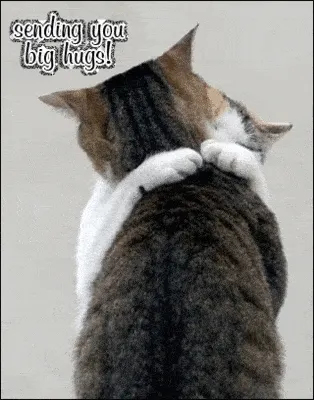 Twee katten omarmen elkaar in een liefdevolle hug.