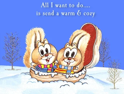 Twee schattige eekhoorns in een omhulde schaal, omringd door sneeuw.