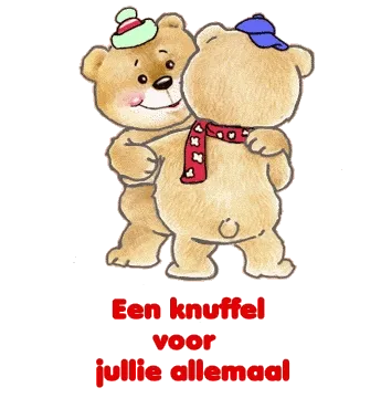 Twee schattige teddyberen omhelzen elkaar met hoedjes op.