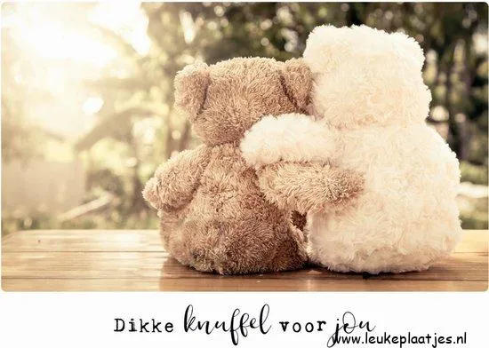 ᐅ dikke knuffel troost - Knuffels Plaatjes en Gifs plaatjes Twee knuffelberen zitten samen op een houten tafel, kijkend naar de zonsondergang.