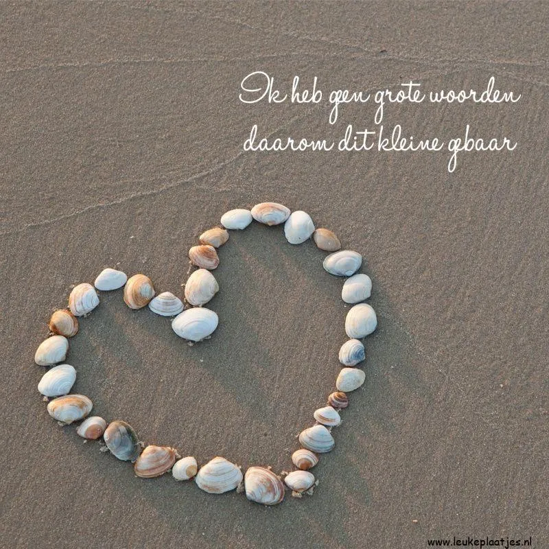 ᐅ dikke knuffel troost - Knuffels Plaatjes en Gifs plaatjes Een hartvorm van schelpen op zand met tekst: "Ik heb geen grote woorden."