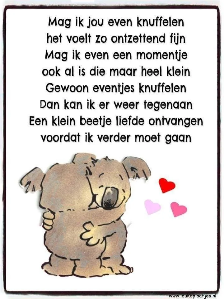 ᐅ dikke knuffel troost - Knuffels Plaatjes en Gifs plaatjes Tekst met een schattig koala dat een ander dier omarmt met een boodschap over liefde en knuffels.