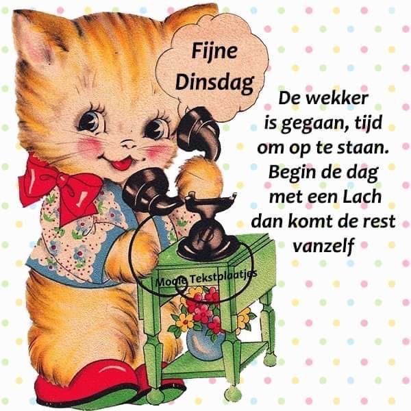 ᐅ Dinsdag Plaatjes: De leukste voor je dag - Dinsdag plaatjes Dinsdag Plaatjes - Schattige kat met telefoon, wens voor een fijne dinsdag en een lach bij de opstart.