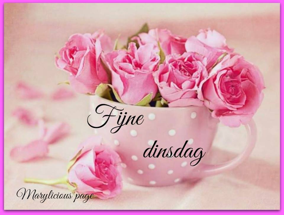 ᐅ Dinsdag Plaatjes: De leukste voor je dag - Dinsdag plaatjes Dinsdag Plaatjes - Roze rozen in een mok met de tekst "Fijne dinsdag". Achtergrond in zachte kleuren.
