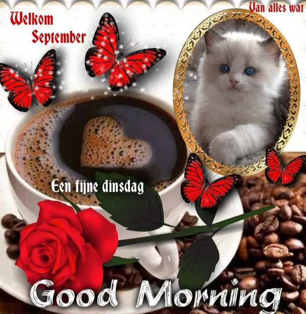 ᐅ dinsdag wensen - Dinsdag plaatjes ᐅ dinsdag wensen - Dinsdag plaatjes