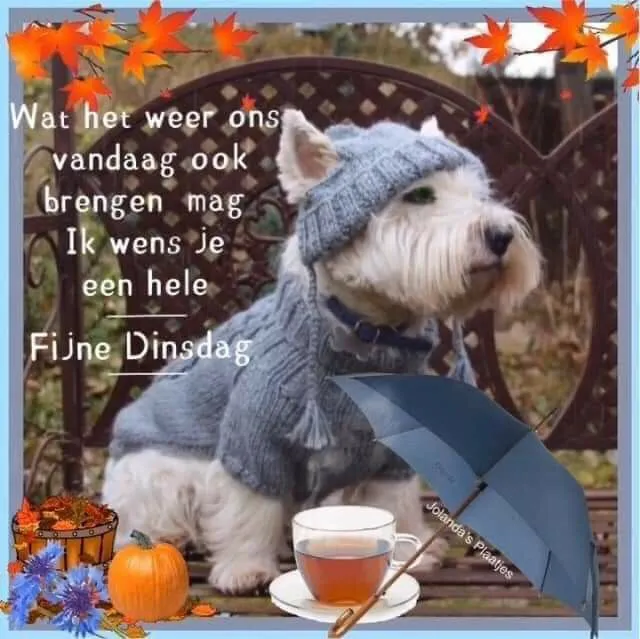 ᐅ dinsdag wensen - Dinsdag plaatjes ᐅ dinsdag wensen - Dinsdag plaatjes