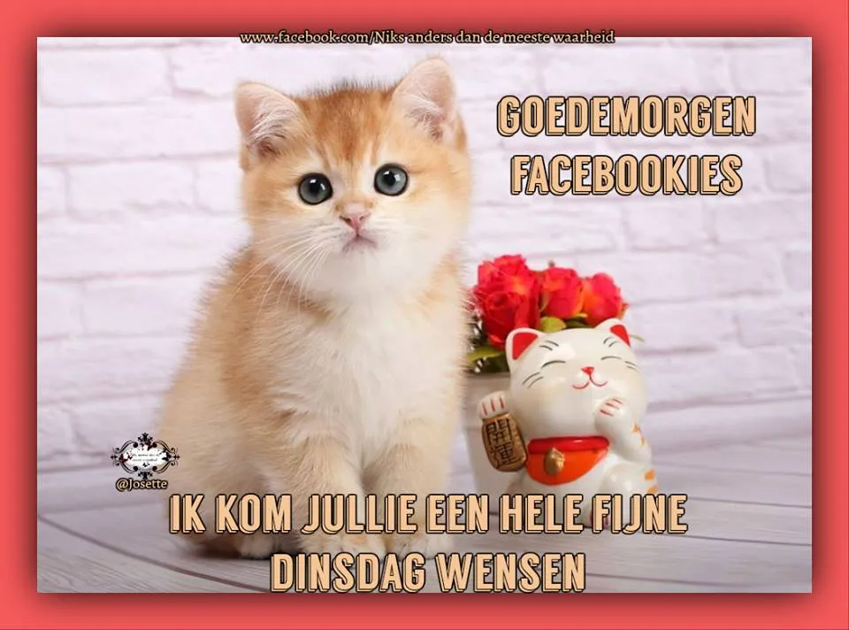 ᐅ dinsdag wensen - Dinsdag plaatjes ᐅ dinsdag wensen - Dinsdag plaatjes