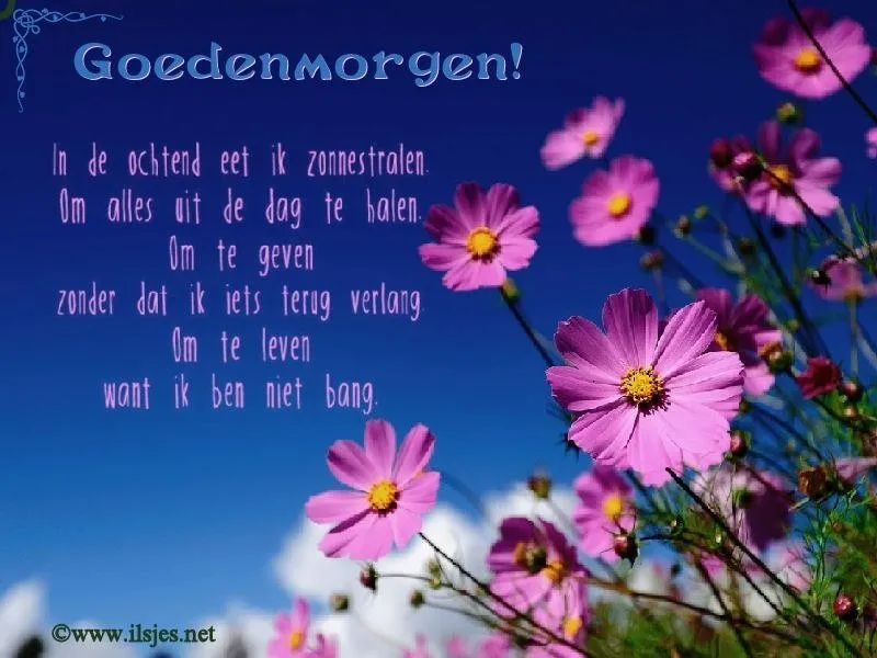 ᐅ dinsdag wensen - Dinsdag plaatjes ᐅ dinsdag wensen - Dinsdag plaatjes