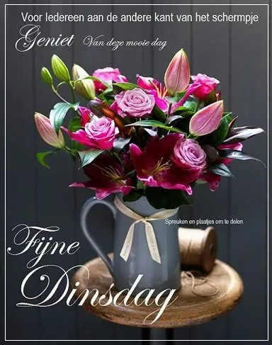 ᐅ dinsdag wensen - Dinsdag plaatjes ᐅ dinsdag wensen - Dinsdag plaatjes