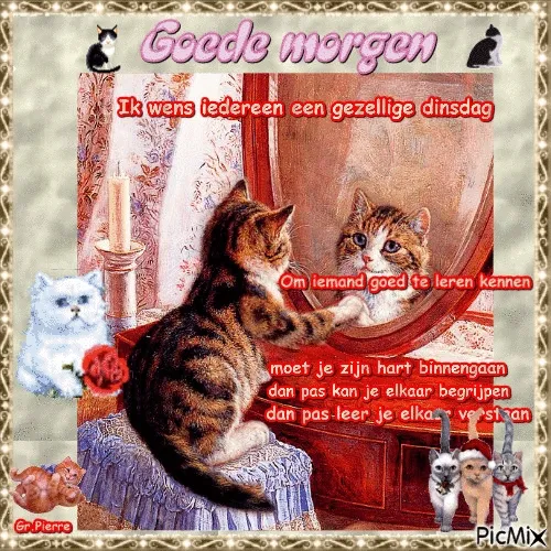 ᐅ dinsdag wensen - Dinsdag plaatjes ᐅ dinsdag wensen - Dinsdag plaatjes