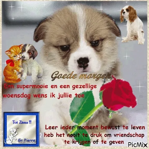 ᐅ dinsdag wensen - Dinsdag plaatjes ᐅ dinsdag wensen - Dinsdag plaatjes