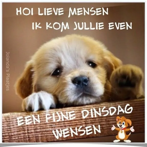 ᐅ dinsdag wensen - Dinsdag plaatjes ᐅ dinsdag wensen - Dinsdag plaatjes