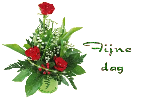 ᐅ dinsdag wensen - Dinsdag plaatjes ᐅ dinsdag wensen - Dinsdag plaatjes