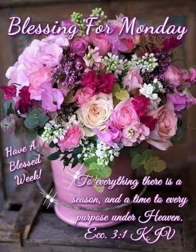 ᐅ dinsdag wensen - Dinsdag plaatjes ᐅ dinsdag wensen - Dinsdag plaatjes