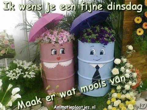 ᐅ dinsdagavond afbeeldingen - Fijne avond plaatjes Twee vrolijke vaten met bloemen en parasols, wens voor een fijne dinsdag.